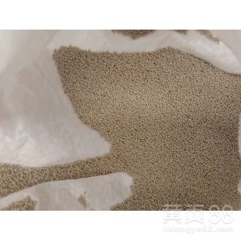 【吉安陶粒工地施工保溫材料、吉州陶粒、江西陶粒廠陶粒施工方法】-