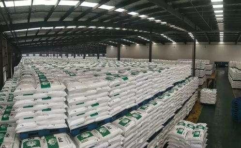 困境與自救 疫情之下多地 包飛機(jī) 包高鐵 包車(chē) 幫助企業(yè)復(fù)工