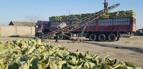 東烏珠穆沁衛(wèi)生間回填 工程陶粒工藝解析與應(yīng)用優(yōu)勢(shì)